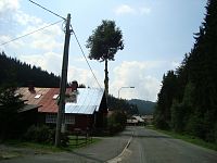 Velké Karlovice-Leskové-penzion U Lučanů-přírodou naroubovaný strom