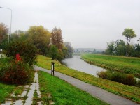 Černovír-Černovírské slatiniště s informační tabulí u řeky Moravy-Foto:Ulrych Mir.