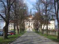 Klášterní Hradisko-zbytek aleje ke klášteru-Foto:Ulrych Mir.