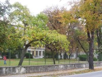 Řepčín-Svatoplukova ulice-internátní škola-dříve klášter Dominikánek-Foto:Ulrych Mir.