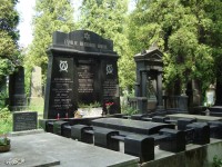 Neředín-Ústřední hřbitov-náhrobky na židovském hřbitově-Foto:Ulrych Mir.