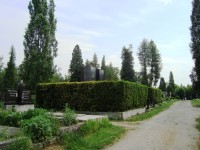 Neředín-Ústřední hřbitov-bankéřská rodina Primavesi-Foto:Ulrych Mir.