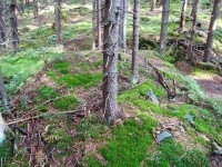 Přístup z lesa na hrádek-celnici Drakov přerušený příkopem-Foto:Ulrych Mir.