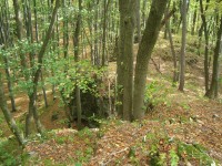 Přírodní rezervace Průchodnice-hřeben skaliska-Foto:Ulrych Mir.