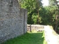 Kozí Hrádek-hrad-hradby a palác na severní straně-Foto:Ulrych Mir.