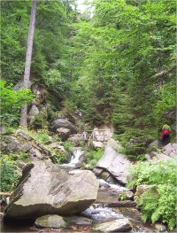 Nízký Jeseník-soutěska na říčce Huntavě s Rešovskými vodopády-Foto:Ulrych Mir.
