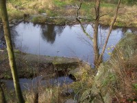 Domašov nad Bystřicí-líheň pod skálou-Foto:Ulrych Mir.