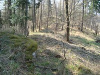 Bilčice-skalnatý hřeben se zbytky hradu Šternek-Foto:Ulrych Mir.