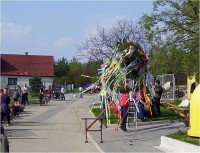 Mrsklesy-Kovákov-stavění máje-Foto:Ulrych Mir.