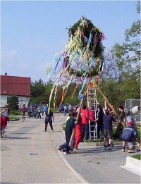 Mrsklesy-Kovákov-stavění máje-Foto:Ulrych Mir.