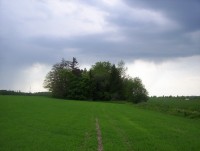 Daskabáty-zalesněné tvrziště Otěhřiby-Foto:Ulrych Mir.