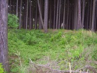 Daskabát-příkop a val tvrze Sedlec-Foto:Ulrych Mir.