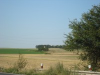 Krčmaň-boží muka z 18.stol. ve směru na V.Týnec-Foto:Ulrych Mir.