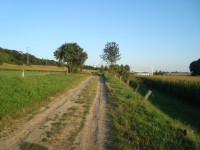 Krčmaň-stará cesta do Kokor-Foto:Ulrych Mir.