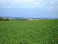 Přáslavice od Droždína-Foto:Ulrych Mir.