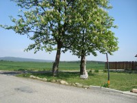 Doloplazy-kříž na začátku obce u silnice z Daskabátu-Foto:Ulrych Mir.