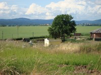 Přáslavice a kopec Jedová-633 m z Hostkovic-Foto:Ulrych Mir.