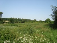 Gabrielov-panský dvůr u Čech pod Kosířem-areál dvora se zbytky zděné ohrady-Foto:Ulrych Mir.