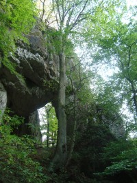 Naučná stezka Špraněk-skalní brána Zkamenělý zámek-Foto:Ulrych Mir.