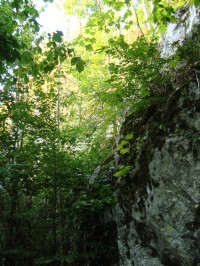 Špranek-hrad-jižní strana hradní skály-Foto:Ulrych Mir.