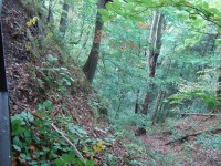 Špranek-hrad-východní strana hradního vršku s příkopem-Foto:Ulrych Mir.