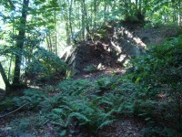 Hrad Tepenec-skála na severní straně hradního předpolí nad příkopem-Foto:Ulrych Mir.