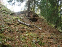 Freudenštejn-hradní zřícenina-zbytky zdiva-Foto:Ulrych Mir.