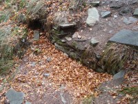 Freudenštejn-hradní zřícenina-zbytky zdiva-Foto:Ulrych Mir.