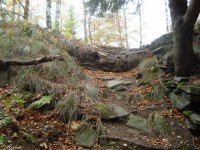 Freudenštejn-hradní zřícenina-zbytky zdiva-Foto:Ulrych Mir.