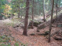 Freudenštejn-hradní zřícenina-val a příkop v jižní části-Foto:Ulrych Mir.