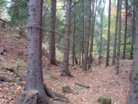 Freudenštejn-hradní zřícenina-val a příkop-Foto:Ulrych Mir.