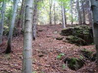 Freudenštejn-hradní zřícenina z přístupové cesty-Foto:Ulrych Mir.