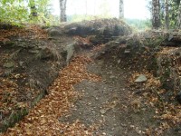 Freudenštejn-hradní zřícenina-zbytky zdiva-Foto:Ulrych Mir.