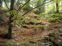 Freudenštejn-hradní vršek-Foto:Ulrych Mir.