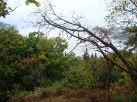 Fürstenwalde-hradní zřícenina-pohled z hradu na sever-Foto:Ulrych Mir.