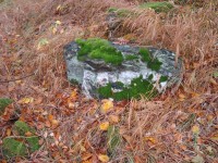 Fürstenwalde-hradní zřícenina-vzorek stavebního kamene-Foto:Ulrych Mir.