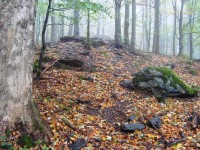 Fürstenwalde-hradní zřícenina-pěšinka mezi skálami k hradu-Foto:Ulrych Mir.