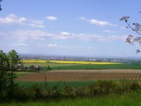 Velký Týnec-Hradisko (299 m)-pohled na chmelnici a Olomouc-Foto:Ulrych Mir.