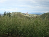 Bouzov-Blažov-ovocné sady nad Blažovem a pohled na hrad Bouzov a panorama Hrubého Jeseníku-Foto:Ulrych Mir.