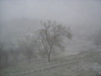 Bouzov-pozdní březnová sněhová bouře-Foto:Ulrych Mir.