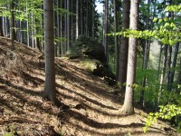 Kazatelna-skalní výběžek od východu z cesty od Vildštejna do Dvorců-Foto:Ulrych Mir.