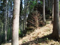 Kazatelna-západní část skalního výběžku-Foto:Ulrych Mir.