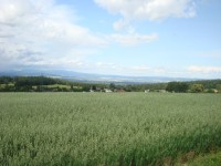 Střemeníčko-pohled na Kovářov, Hanou a Jeseníky-Foto:Ulrych Mir.