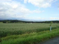 Střemeníčko-pohled na Kovářov, Hanou a Jeseníky-Foto:Ulrych Mir.