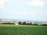 Haná s Lutínem od Hájenky-Lusthósu-Foto:Ulrych Mir.