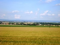 Haná s Luběnicemi a Svatým Kopečkem z úpatí Kosíře-Foto:Ulrych Mir. 