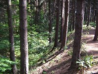 Ludéřov-Keltská svatyně-Švédské šance-Foto:Ulrych Mir.