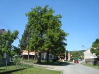 Střížov-náves s památníkem obětem světových válek-Foto:Ulrych Mir.