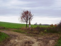 Chudobín-kříž z r.1900 v polích za zámkem-Foto:Ulrych Mir.