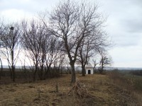 Čehovice-kaplička sv. Prokopa na místě, kde původně vesnice stávala-Foto-Ulrych Mir.